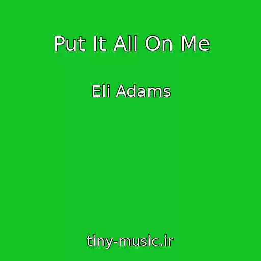 کاور آهنگ Put It All On Me از Eli Adams