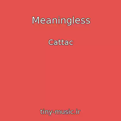 کاور آهنگ Meaningless از Cattac