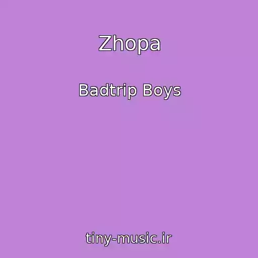 کاور آهنگ Zhopa از Badtrip Boys