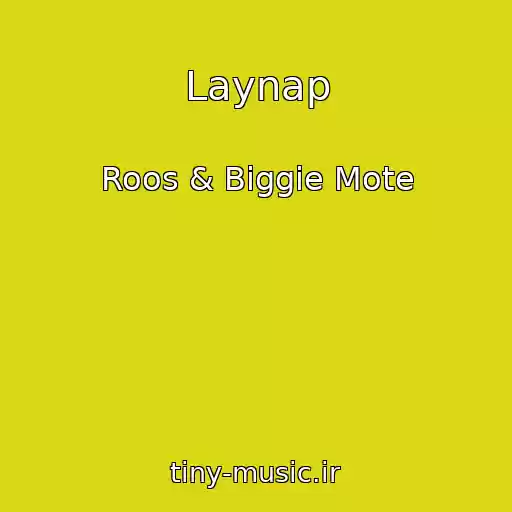 کاور آهنگ Laynap از Roos & Biggie Mote