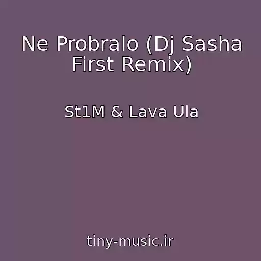 کاور آهنگ Ne Probralo (Dj Sasha First Remix) از St1M & Lava Ula