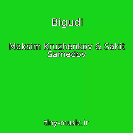 کاور آهنگ Bigudi از Maksim Kruzhenkov & Sakit Samedov
