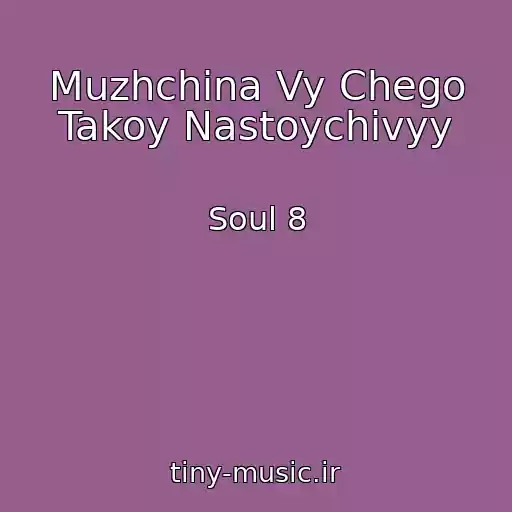 کاور آهنگ Muzhchina Vy Chego Takoy Nastoychivyy از Soul 8