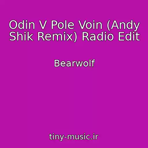 کاور آهنگ Odin V Pole Voin (Andy Shik Remix) Radio Edit از Bearwolf