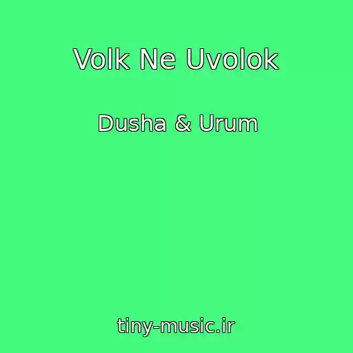 کاور آهنگ Volk Ne Uvolok از Dusha & Urum