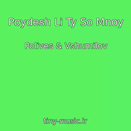 کاور آهنگ Poydesh Li Ty So Mnoy از Polives & Vshumilov