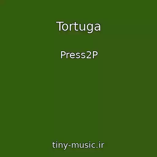 کاور آهنگ Tortuga از Press2P