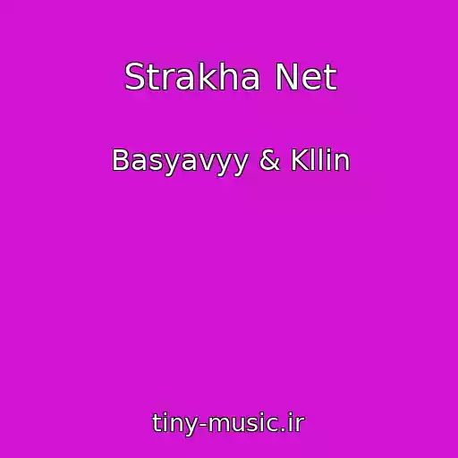 کاور آهنگ Strakha Net از Basyavyy & Kllin