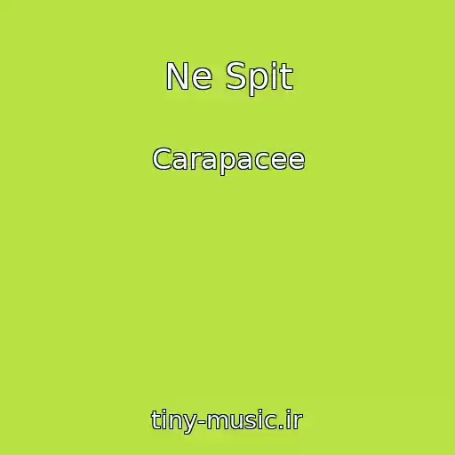 کاور آهنگ Ne Spit از Carapacee