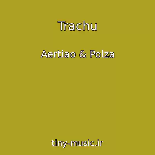 کاور آهنگ Trachu از Aertiao & Polza