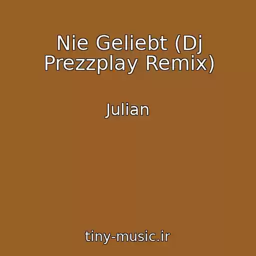کاور آهنگ Nie Geliebt (Dj Prezzplay Remix) از Julian