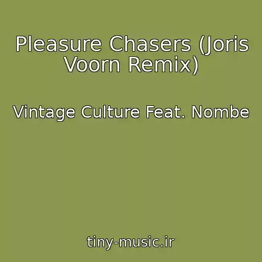 کاور آهنگ Pleasure Chasers (Joris Voorn Remix) از Vintage Culture Feat. Nombe