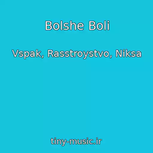 کاور آهنگ Bolshe Boli از Vspak, Rasstroystvo, Niksa