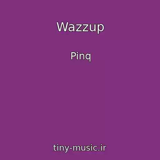 کاور آهنگ Wazzup از Pinq