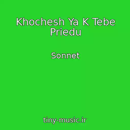 کاور آهنگ Khochesh Ya K Tebe Priedu از Sonnet