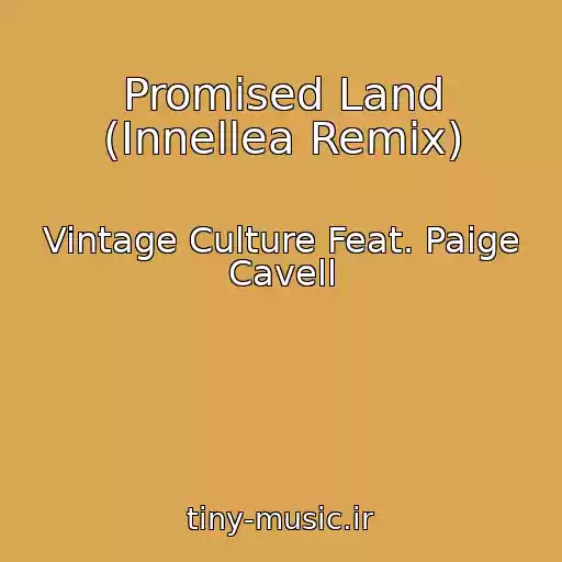 کاور آهنگ Promised Land (Innellea Remix) از Vintage Culture Feat. Paige Cavell