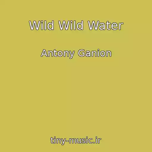 کاور آهنگ Wild Wild Water از Antony Ganion