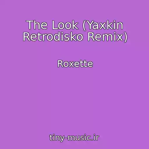 کاور آهنگ The Look (Yaxkin Retrodisko Remix) از Roxette