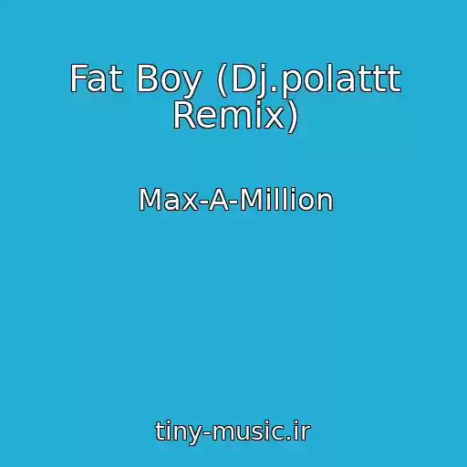 کاور آهنگ Fat Boy (Dj.polattt Remix) از Max-A-Million