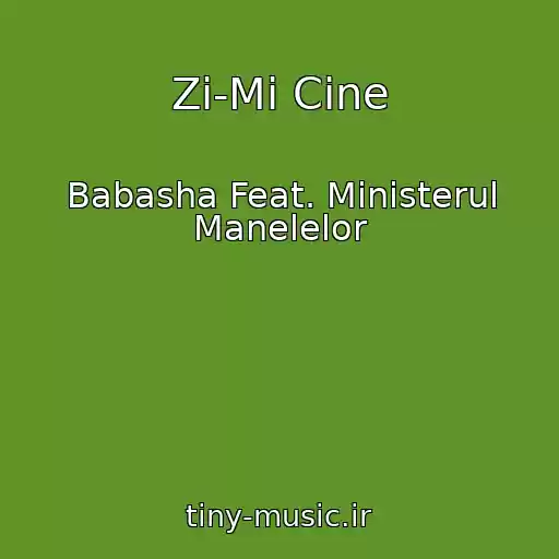 کاور آهنگ Zi-Mi Cine از Babasha Feat. Ministerul Manelelor