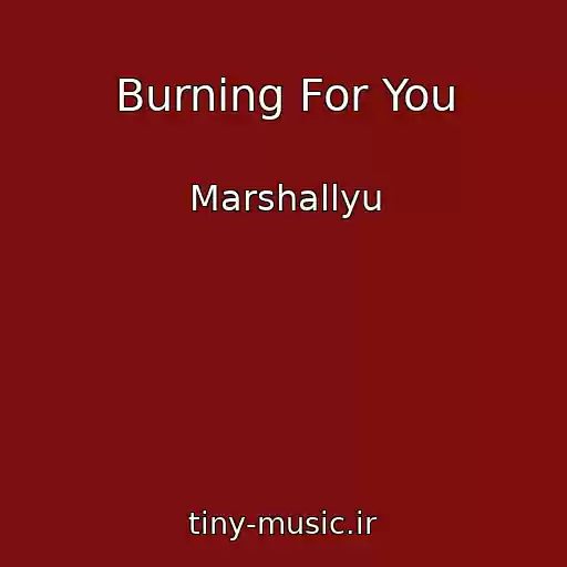 کاور آهنگ Burning For You از Marshallyu