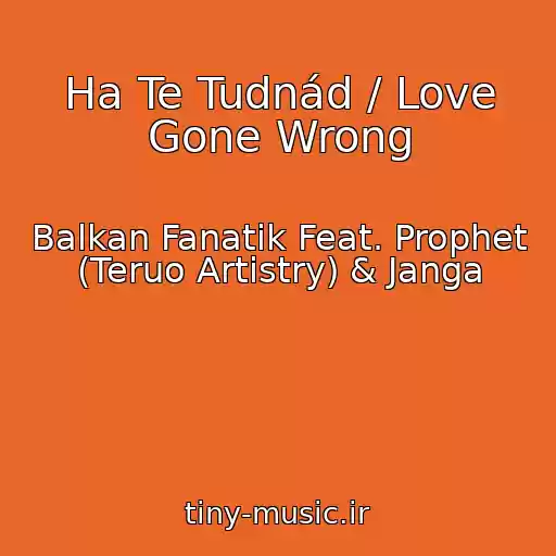 کاور آهنگ Ha Te Tudnád / Love Gone Wrong از Balkan Fanatik Feat. Prophet (Teruo Artistry) & Janga
