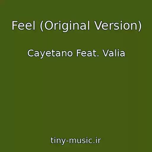 کاور آهنگ Feel (Original Version) از Cayetano Feat. Valia