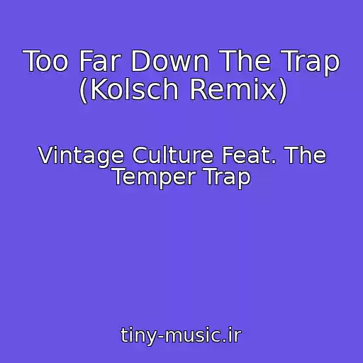 کاور آهنگ Too Far Down The Trap (Kolsch Remix) از Vintage Culture Feat. The Temper Trap