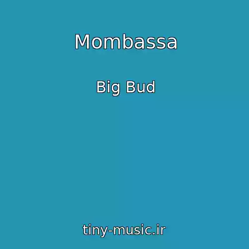 کاور آهنگ Mombassa از Big Bud