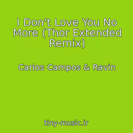 کاور آهنگ I Don't Love You No More (Thor Extended Remix) از Carlos Campos & Ravin