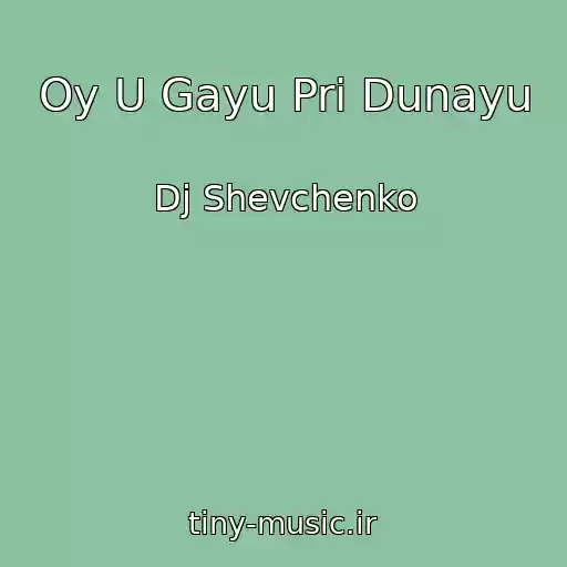 کاور آهنگ Oy U Gayu Pri Dunayu از Dj Shevchenko