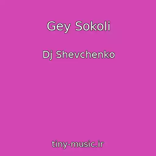 کاور آهنگ Gey Sokoli از Dj Shevchenko