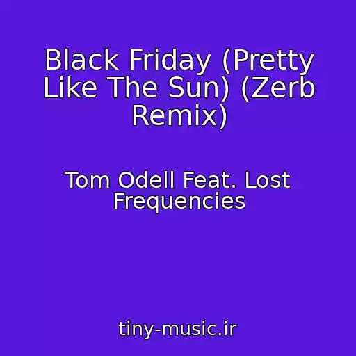کاور آهنگ Black Friday (Pretty Like The Sun) (Zerb Remix) از Tom Odell Feat. Lost Frequencies