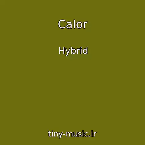 کاور آهنگ Calor از Hybrid