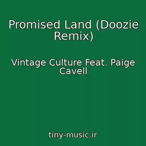 کاور آهنگ Promised Land (Doozie Remix) از Vintage Culture Feat. Paige Cavell