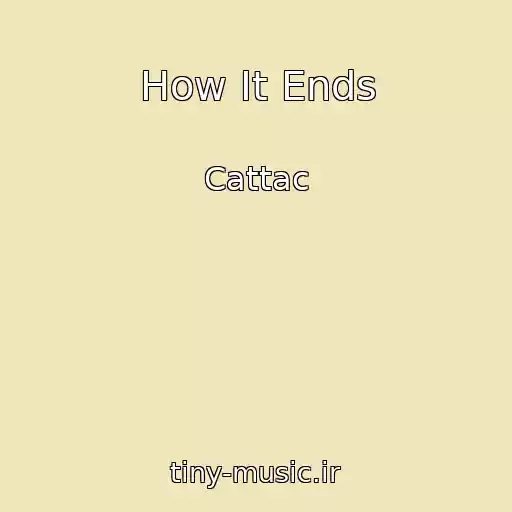 کاور آهنگ How It Ends از Cattac