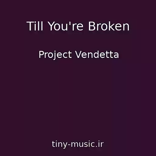 کاور آهنگ Till You're Broken از Project Vendetta