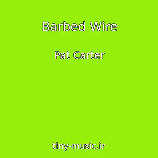 کاور آهنگ Barbed Wire از Pat Carter