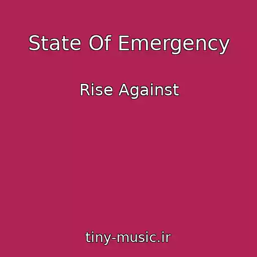 کاور آهنگ State Of Emergency از Rise Against