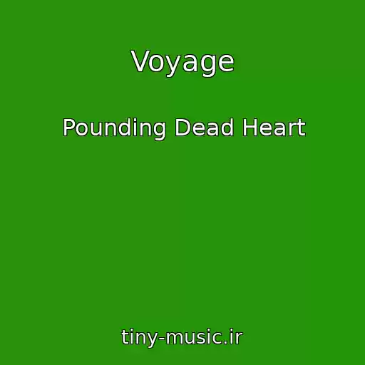 کاور آهنگ Voyage از Pounding Dead Heart