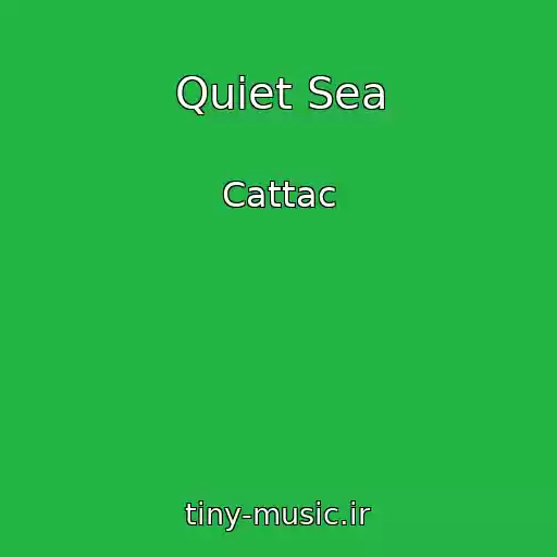 کاور آهنگ Quiet Sea از Cattac