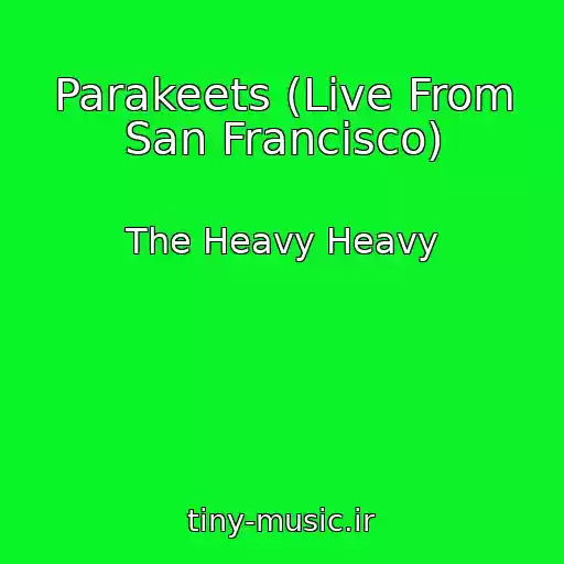 کاور آهنگ Parakeets (Live From San Francisco) از The Heavy Heavy