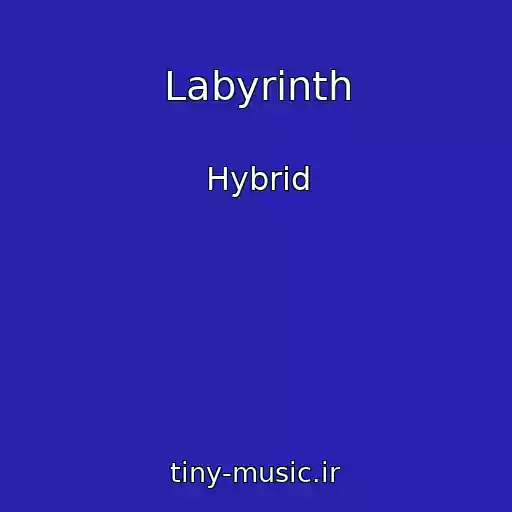 کاور آهنگ Labyrinth از Hybrid