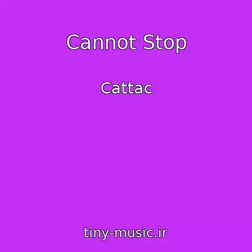 کاور آهنگ Cannot Stop از Cattac