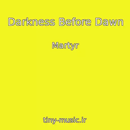 کاور آهنگ Darkness Before Dawn از Martyr