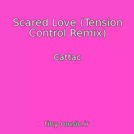 کاور آهنگ Scared Love (Tension Control Remix) از Cattac