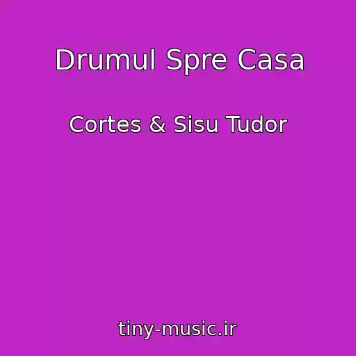 کاور آهنگ Drumul Spre Casa از Cortes & Sisu Tudor