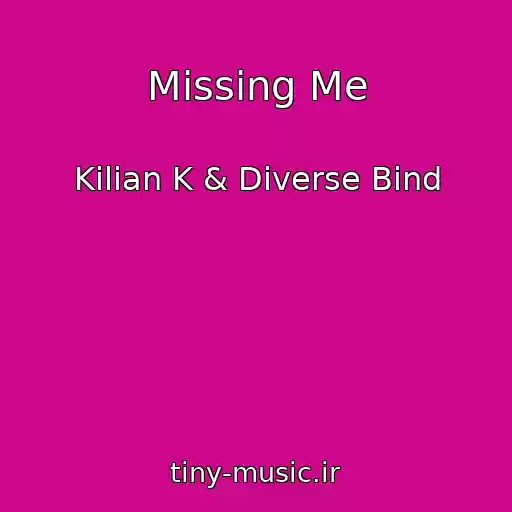 کاور آهنگ Missing Me از Kilian K & Diverse Bind