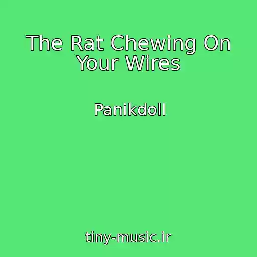 کاور آهنگ The Rat Chewing On Your Wires از Panikdoll