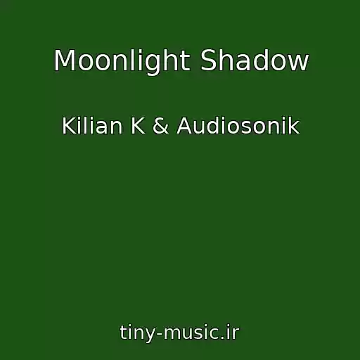 کاور آهنگ Moonlight Shadow از Kilian K & Audiosonik